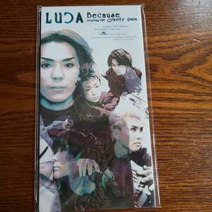 【廃盤】LUCA/Because PODH-1505 8cmCD 新品未開封送料込み 