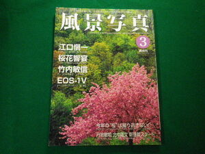 ■雑誌■風景写真 2000年3月号 特集 桜花饗宴 ブティック社■FAUB2021050814■