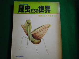 ■子供の科学別冊 昆虫たちの世界 生きるしくみをさぐる 誠文堂新光社 昭和50年■FAUB2021050813■