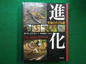 ■進化 生命のたどる道　カール・ジンマー著　長谷川真理子監修 岩波書店　2012年■FAIM2021092810■