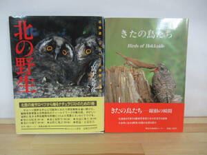 P62▽【北海道の鳥 関連本】2冊セット きたの鳥たち 北の野生 富士元寿彦 サロベツ ふくろう 写真集 鳥類 220621道東 220621