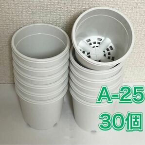 《A-25》 白 30個 プラ鉢 2.5号相当 植木鉢 スリット鉢 多肉植物
