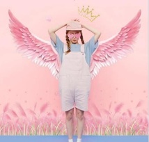 天使の羽＆ピンクの草　畑　羽　ウォールステッカー　ステッカー　_画像1