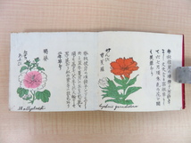 『内外百花弁覧』明治31年三田育種場刊 彩色木版画122枚 草花図譜 植物画譜 明治時代の最重要園芸書・農書 植物学 園芸学 ボタニカルアート_画像3