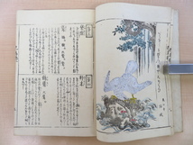 狩野探幽筆『写生花鳥極彩色』享保13年序九如堂刊 花鳥画譜 彩色木版画譜 江戸時代の博物学_画像7