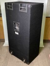 PEAVEY ピーヴィー　810TX BASS ENCLOSURE 西濃運輸着払い_画像5