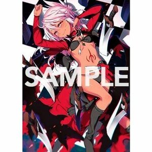 TYPE-MOON Fate/Grand Order Premium Tapestry クロエ B2タペストリー 最終再臨 FGO コミケ コミックマーケット