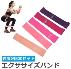 トレーニングチューブ エクササイズバンド ループバンド 5本セット ホームフィットネス ストレッチ 筋トレ 収納袋付き