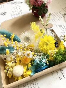  sunshine Sky pala dice * material for flower arrangement assortment 