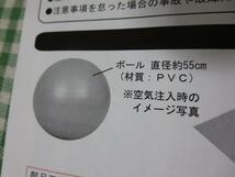 ジムボール グリーン φ55cm 耐荷重80kg ポンプ付き_画像2