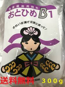 アクアテラス おとひめ B1　３００ｇ　メダカ　グッピー　金魚等