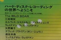 キーボードマガジン 1994年11月号 The WILD BOAR/小林靖宏/エルヴィス・コステロ/矢野顕子/遊佐未森/小林靖宏/オービタル_画像3