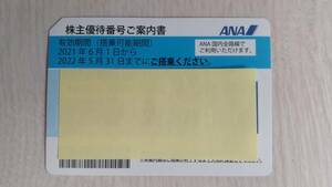 【送料無料】ANA株主優待券11月末期限2枚セット