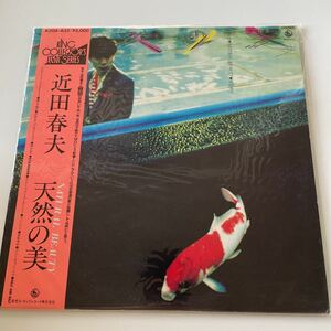 近田春夫　天然の美 natural beauty LP