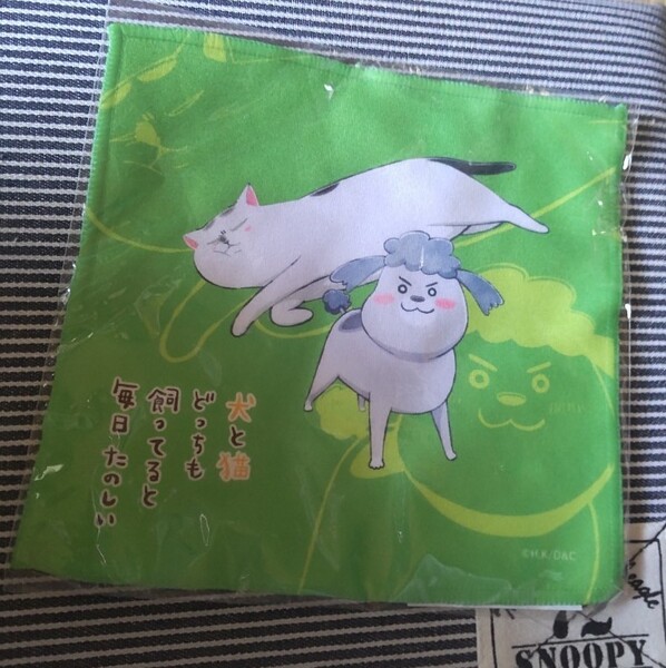 犬と猫どっちも飼ってると毎日たのしい ハンドタオル ハンカチ トイプードル