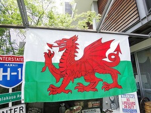 ウェールズ国旗のビッグサイズフラッグ ■ アメリカン雑貨 アメリカ雑貨 旗 壁飾り インテリア雑貨 ガレージグッズ 国旗 パブ