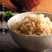 発芽玄米 無洗米 700g 玄米 玄米ごはん 米 お米 玄米 ごはん 発芽玄米 つや姫 宮城県産 食物繊維_画像5