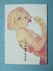 同人誌 ナルト ファンブック 瑠美 うちは専用処方箋 2015年