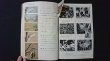 ｖ＃　昭和40年代教科書　新編 新しい理科 4年上　著/茅誠司 服部静夫ほか　東京書籍株式会社　昭和42年　小学校　古書/A16_画像3