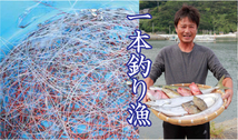 愛媛 タチウオ 天然一本釣り 300～400g×4～7匹＝1800~2000g分 浜から直送 送料無料 宇和海の幸問屋_画像6