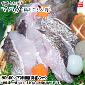 愛媛 宇和海産 マハタ 鍋用 下処理済み 2-3人前 300-400g 浜から直送 送料無料 宇和海の幸問屋