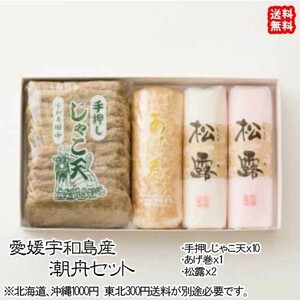 愛媛 宇和島 ( 潮舟 ） 手作り 練り物セット 蒲鉾135g2本 あげ巻250g1本 手押しじゃこ天50g10枚