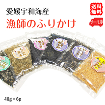 愛媛 佐田岬産 漁師のふりかけ 40g×6ｐ 6種類から選べる おにぎりお弁当に最適 送料無料 メール便 宇和海の幸問屋_画像1