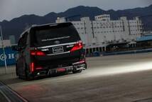 20 前期 後期 アルファード ヴェルファイア リアバンパー Ver.1 トヨタ ALPHARD VELLFIRE GGH20/ANH20/ATH20 ブラックパール 新品 未塗装_画像6