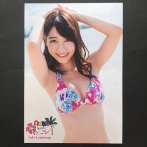 柏木由紀 AKB48 海外旅行日記 生写真 ～ハワイはハワイ～ 1円スタート 17