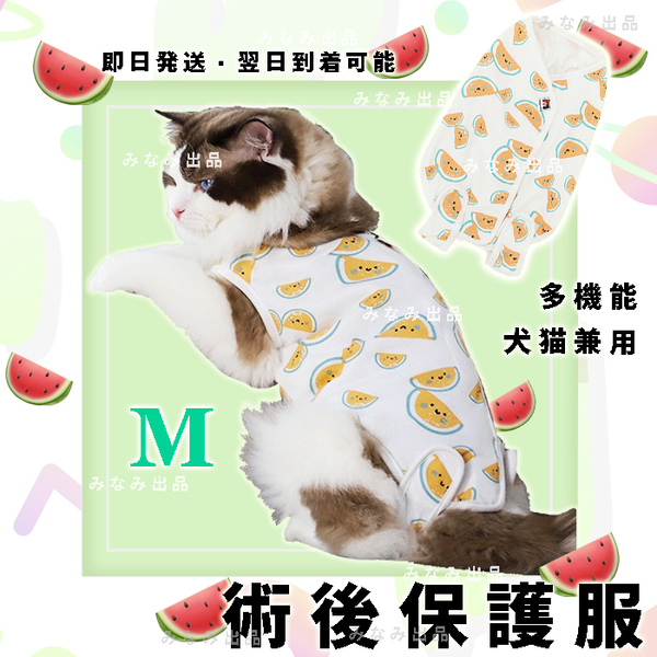 【スイカ柄M】猫犬 術後服 離乳避妊手術 皮膚保護雌 エリザベスカラー ウェア ペット服