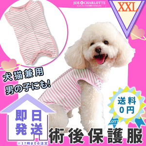 [ розовый 2XL] кошка собака . после одежда одежда самец самка ветеринарный воротник одежда облизывание предотвращение 