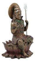 ヒンドゥー教の最高神 シヴァ神像（大黒天、不動明王） 彫刻 彫像/ 世界の創造、再生を司る最高神（輸入品_画像5