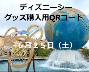 ６月25日(土)　東京ディズニーシー　グッズ購入用QRコード　チケット　パスポート２