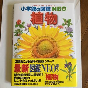 植物 (小学館の図鑑NEO 2)