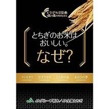 【精米】 栃木県産 JAしおのや 白米 なすひかり 5kg 令和3年産_画像2