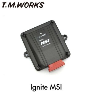 T.M.WORKS イグナイトMSI レクサス RX GGL10 GGL15 GGL16 2GR-FE 2009/01～