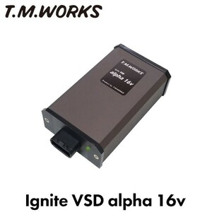 T.M.WORKSig Night VSD Alpha 16Vlak fibre .nU6 GT 2017~ turbo 