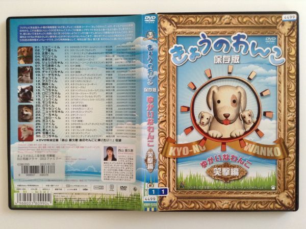 もっと!きょうのわんこ 笑撃編 DVD-