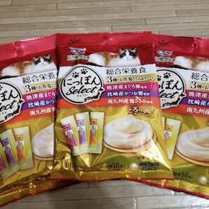 銀のスプーン とろりっち総合栄養食18本入り3袋セット