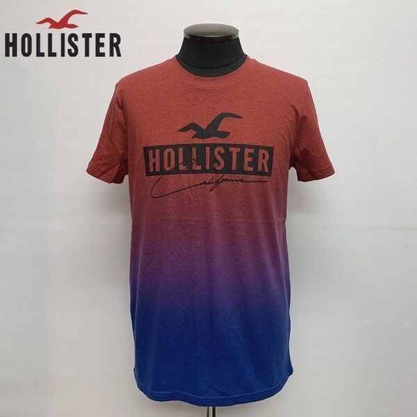 US正規 /S★HOLLISTER ホリスター ロゴプリント 半袖Tシャツ/グラデーション 323-243-2941-628 サーフスタイル アメリカ購入 (9967)