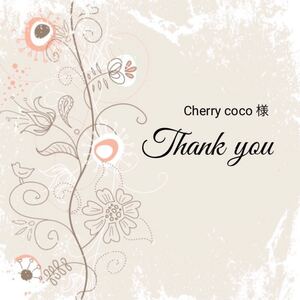 Cherrycoco 様専用です 2セット No.267横穴ビーズクリア54個