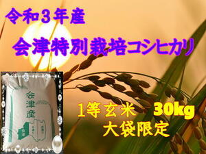 【玄米30kg】令和３年産　会津特別栽培コシヒカリ 大袋のみ（精米・小分け不可）　東北～関西送料無料