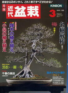 【近代盆栽】1998.03★名樹解析 ★雑木の植え替え ★小品の植え替え