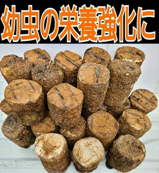 カブトムシ幼虫の栄養強化に☆椎茸廃菌床【12ブロック】発酵マットに埋め込むと幼虫が潜り込みモリモリ食べて大きくなる！クヌギ100％原料