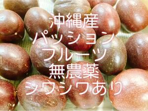 お買い得！わけあり沖縄産パッションフルーツ無農薬！小玉コンパクトに ぎっしり！