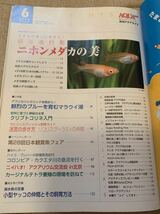 【送料無料】 AQUALIFE アクアライフ 2010年 6月 No.371 メダカ リコリスグラミィ　クリプトコリネ　マラウィ湖　シクリッド　熱帯魚_画像2