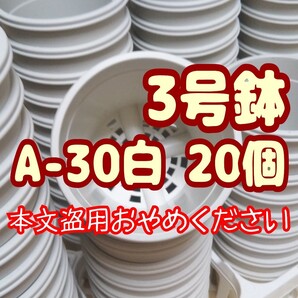 プラ鉢 《A-30》 白 20個 プラ鉢 3号鉢相当 植木鉢 スリット鉢 多肉植物 丸 プレステラ