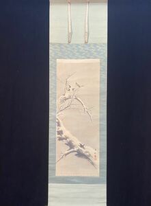 【模写】「阿出川 真水」「雪中老梅鴬之図」日本画家 四条派 東京の人 共箱 掛軸 SE3173, 絵画, 日本画, 花鳥、鳥獣