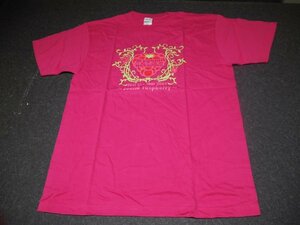 【保管品】中島愛 First Live Tour 2009 Tシャツ Lサイズ Sound raspberry ライブツアー 半袖 N198