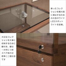 幅55cm コレクションケース ショーケース ロータイプ 高さ123cm 完成品 木製シート貼り ウォールナット_画像6